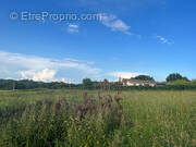 Terrain à COUDURES