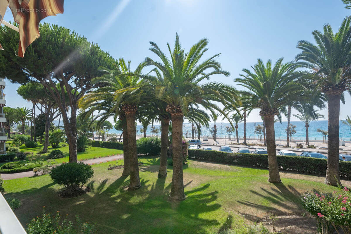 Cannes   Mandelieu  Résidence d'exception en front de mer, les pieds dans l'eau - photo 10