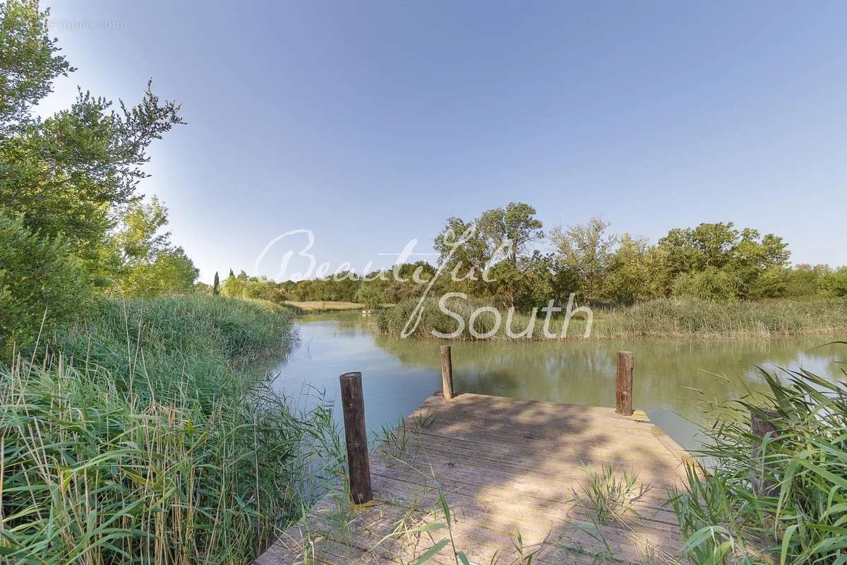 Sublime propriete, maison de maitre + gites, domaine de 11 hectares, narbonne - photo 21