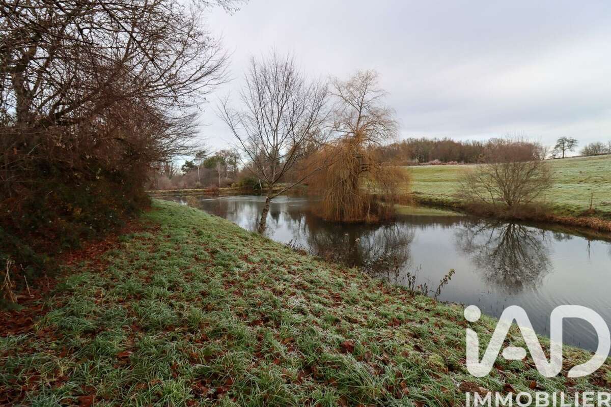 Photo 5 - Terrain à SOURSAC