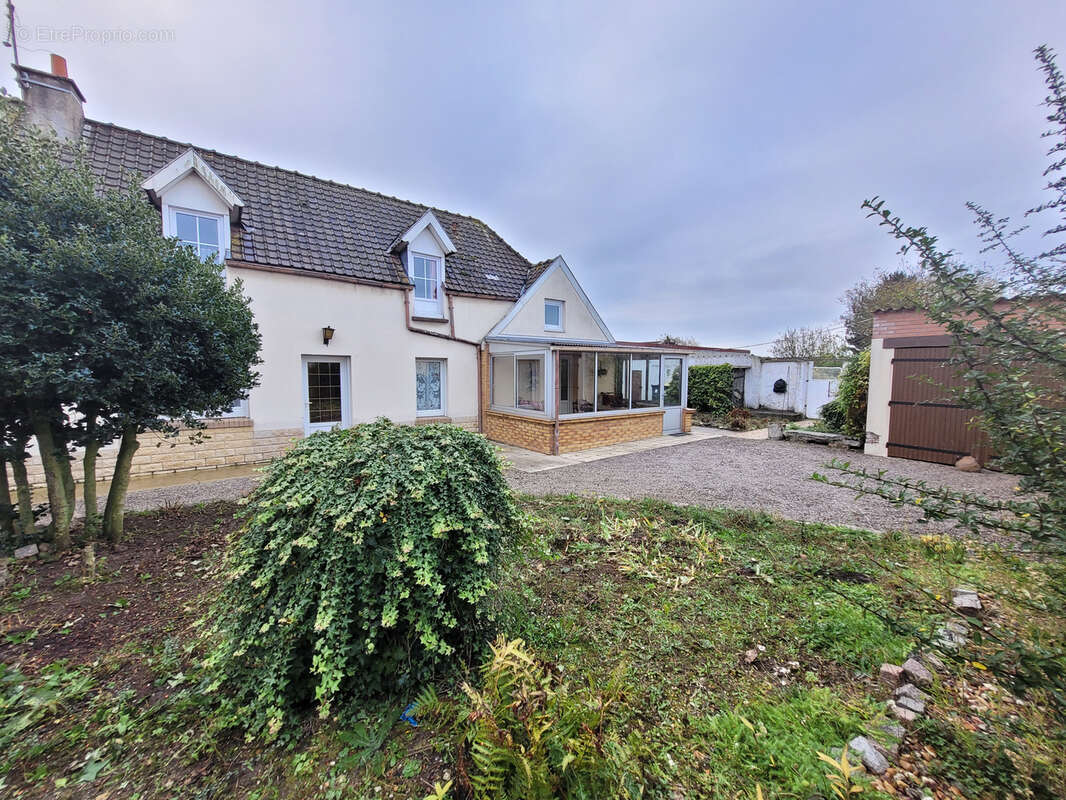 Maison à SAINS-EN-GOHELLE