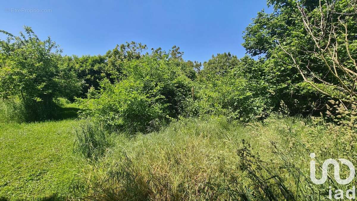 Photo 3 - Terrain à POITIERS