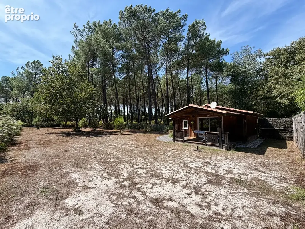 Un havre de paix au coeur de 1,3 hectare à Sanguinet - photo 12