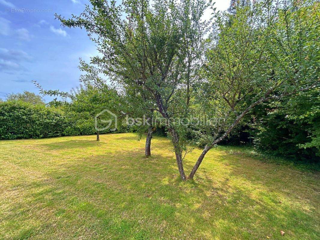 Superbe maison de campagne – 6 pièces – 168 m² - Terrain clos, arboré et sans vis à vis - Très calme ! - photo 11