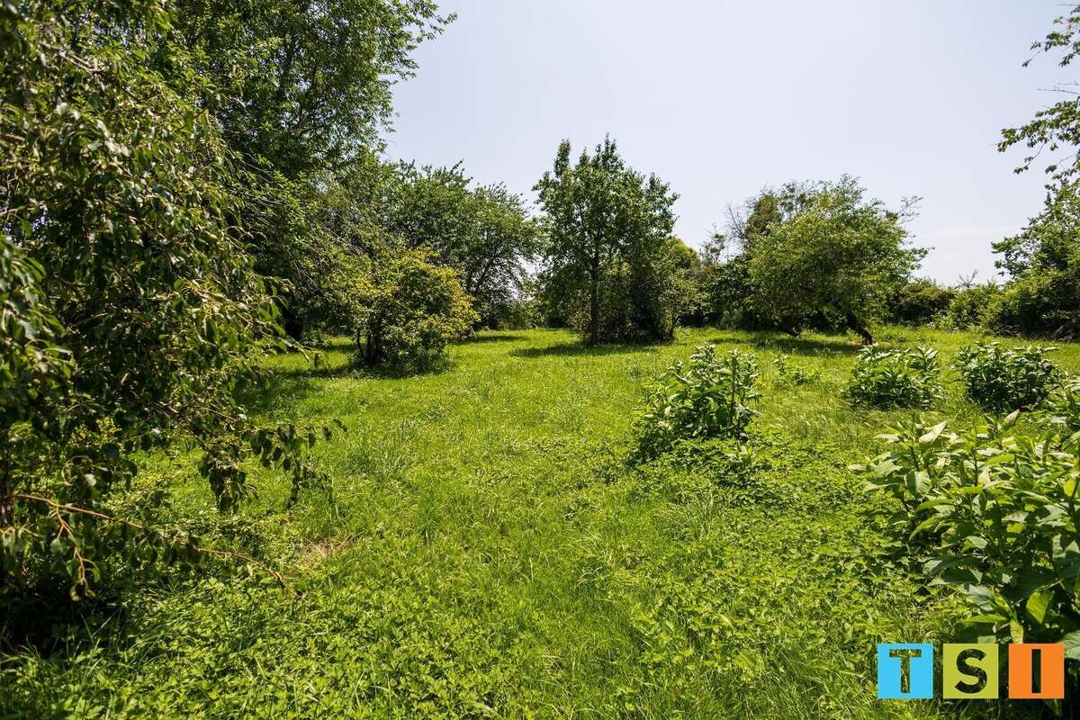 Maison à DAUMAZAN-SUR-ARIZE