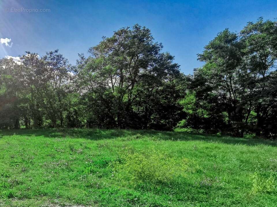 Terrain à RIANS