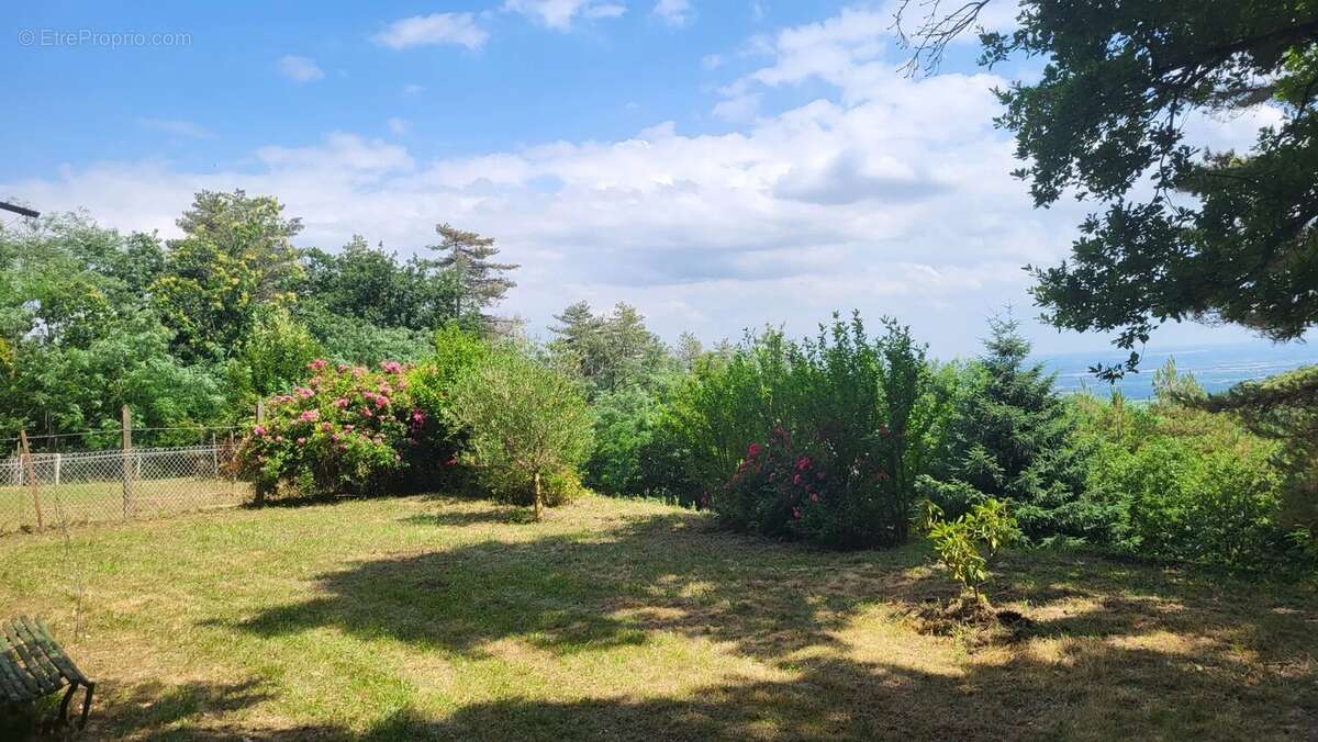 Terrain à ROMANECHE-THORINS