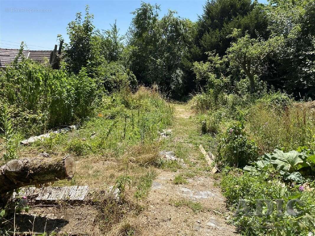 Terrain à DAMMARTIN-EN-GOELE