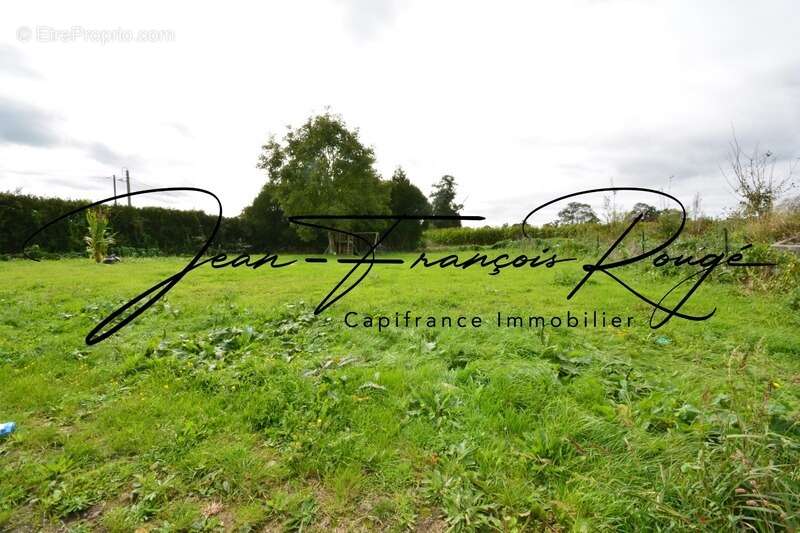 Saint-André de Bohon, ensemble immobilier composé de deux maisons sur 1,3 hectare de terrain !!! - photo 21