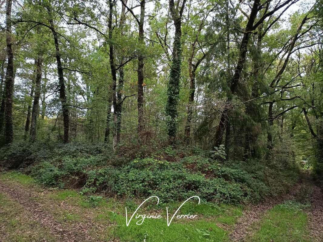 Maison à BRIGNAC-LA-PLAINE