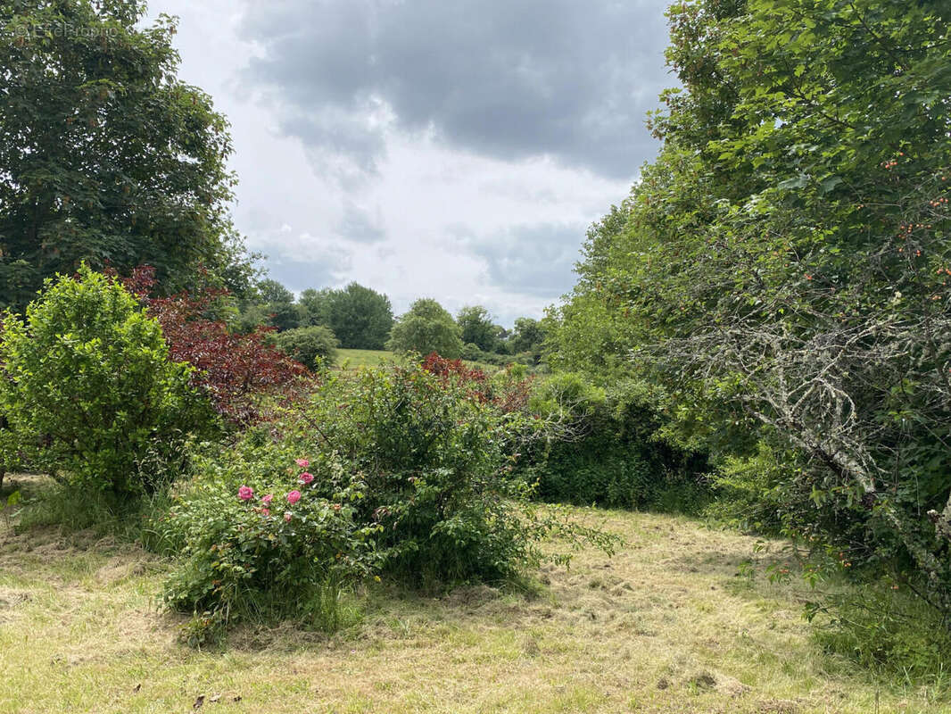 JARDIN - Maison à BROSSAC