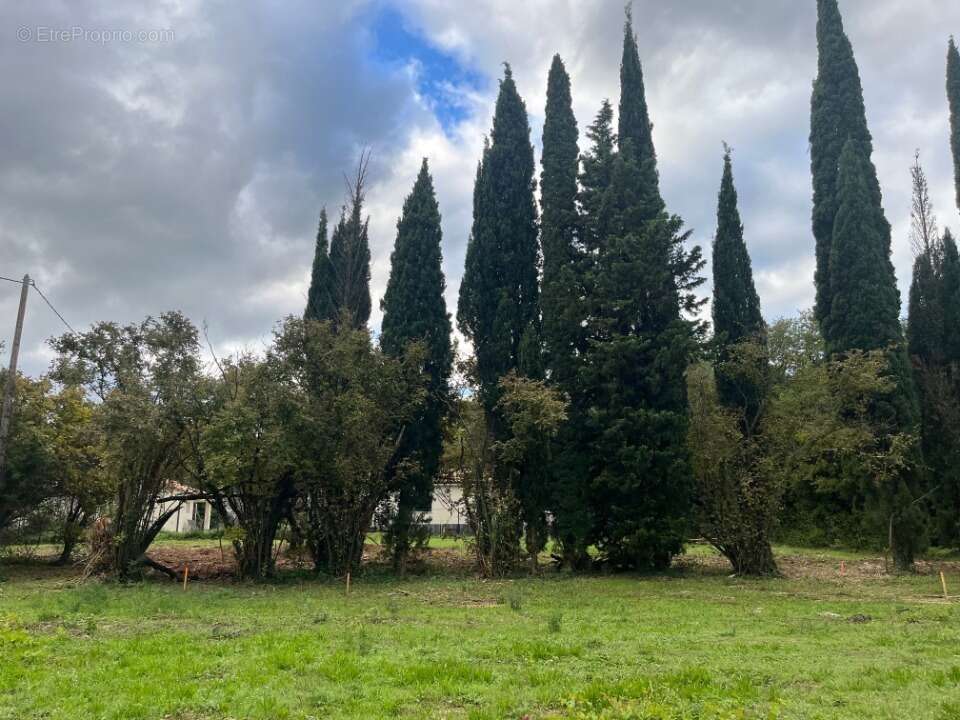 Terrain à MALATAVERNE