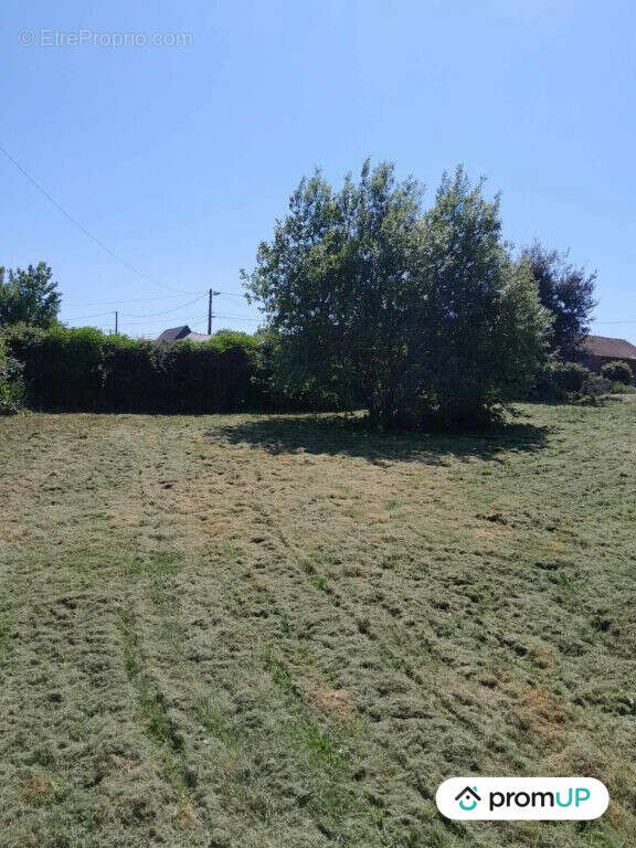 Terrain à MONTEROLIER