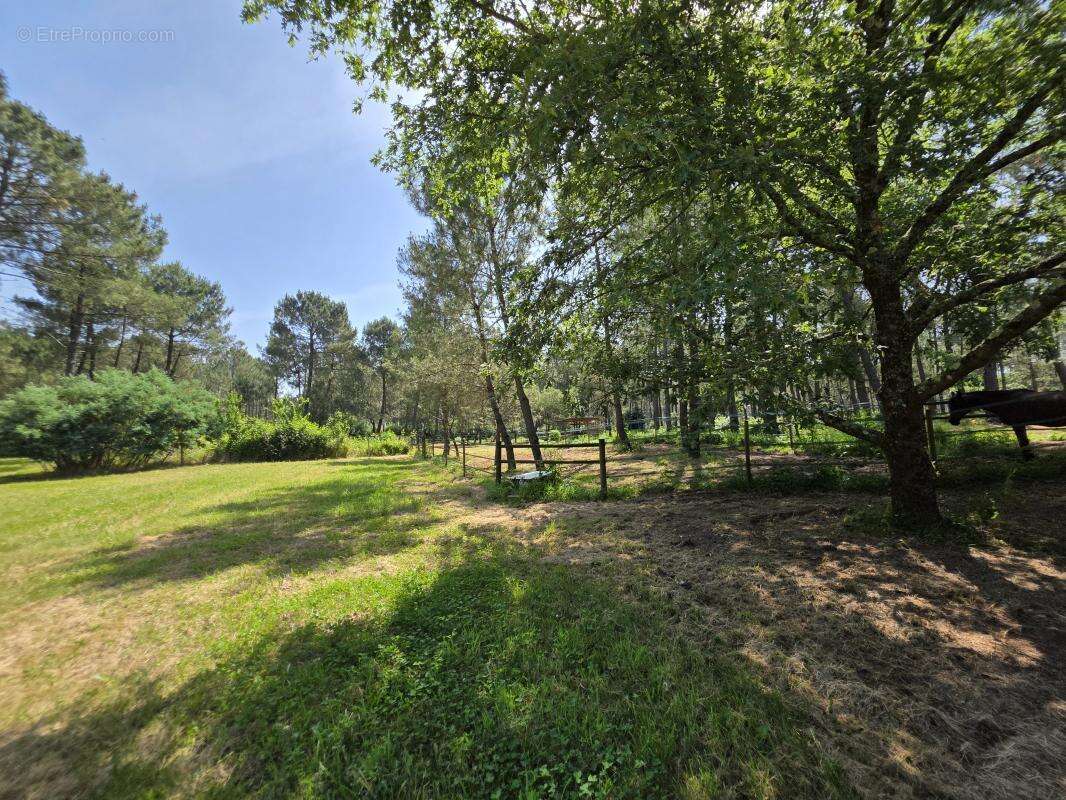 Maison 630 m² à Biscarrosse  - photo 50