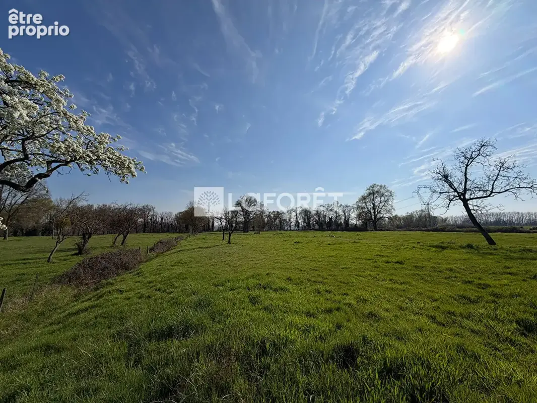 Corps de ferme à vendre Saint Jean Sur Veyle 4 pièce(s) 420 m2 - photo 16