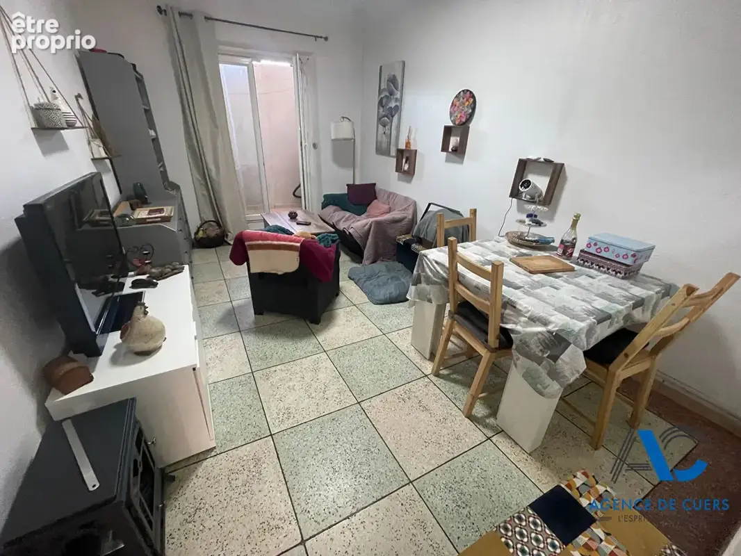 Appartement  3 pièce(s) avec locataire - photo 2