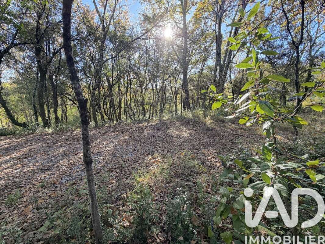Photo 6 - Terrain à SAINT-HIPPOLYTE-DU-FORT