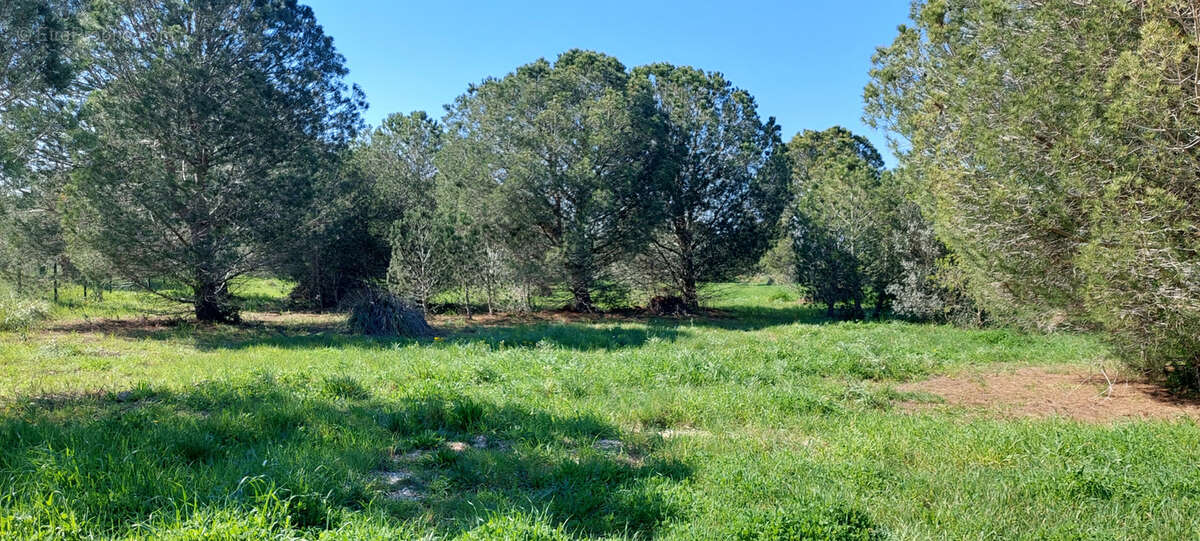 Terrain à PERPIGNAN