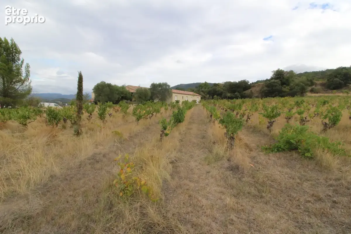 3 km de Limoux - Propriété avec appartement, dépendances et vigne - photo 2