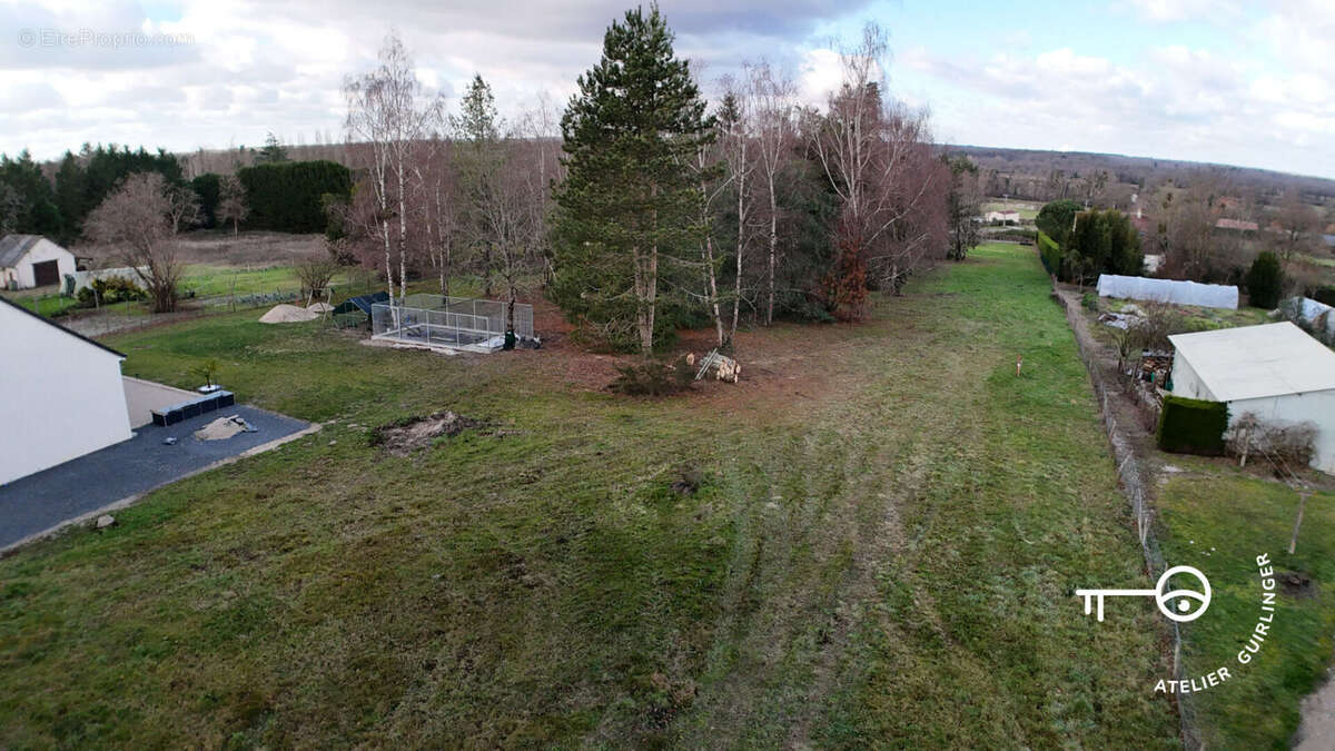 Terrain à MONTRIEUX-EN-SOLOGNE