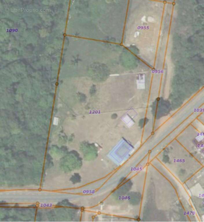 Terrain Remire Montjoly Guyane pour promotion immobilière 14964 m² - photo 2
