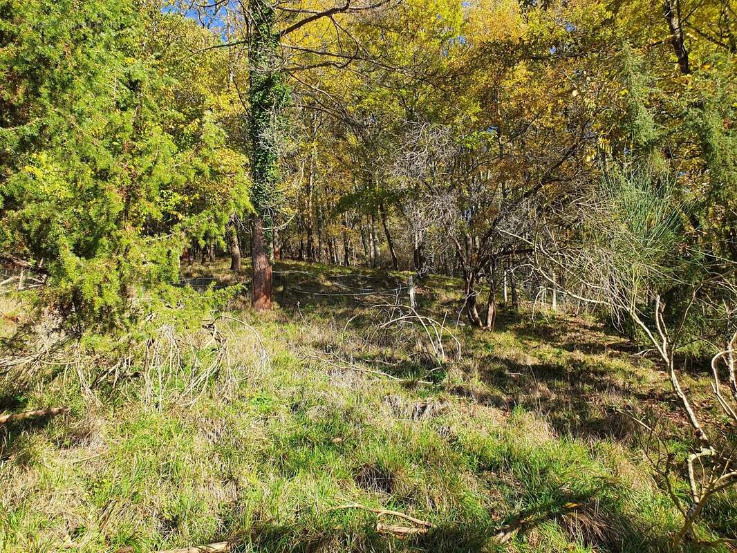 Maison à SAINTE-FOY-LA-GRANDE