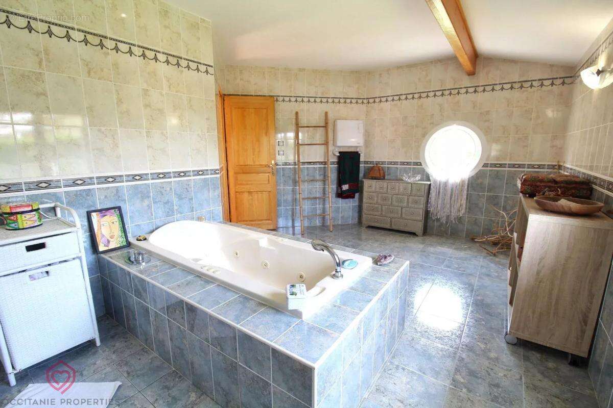 Maison à VILLEMUR-SUR-TARN