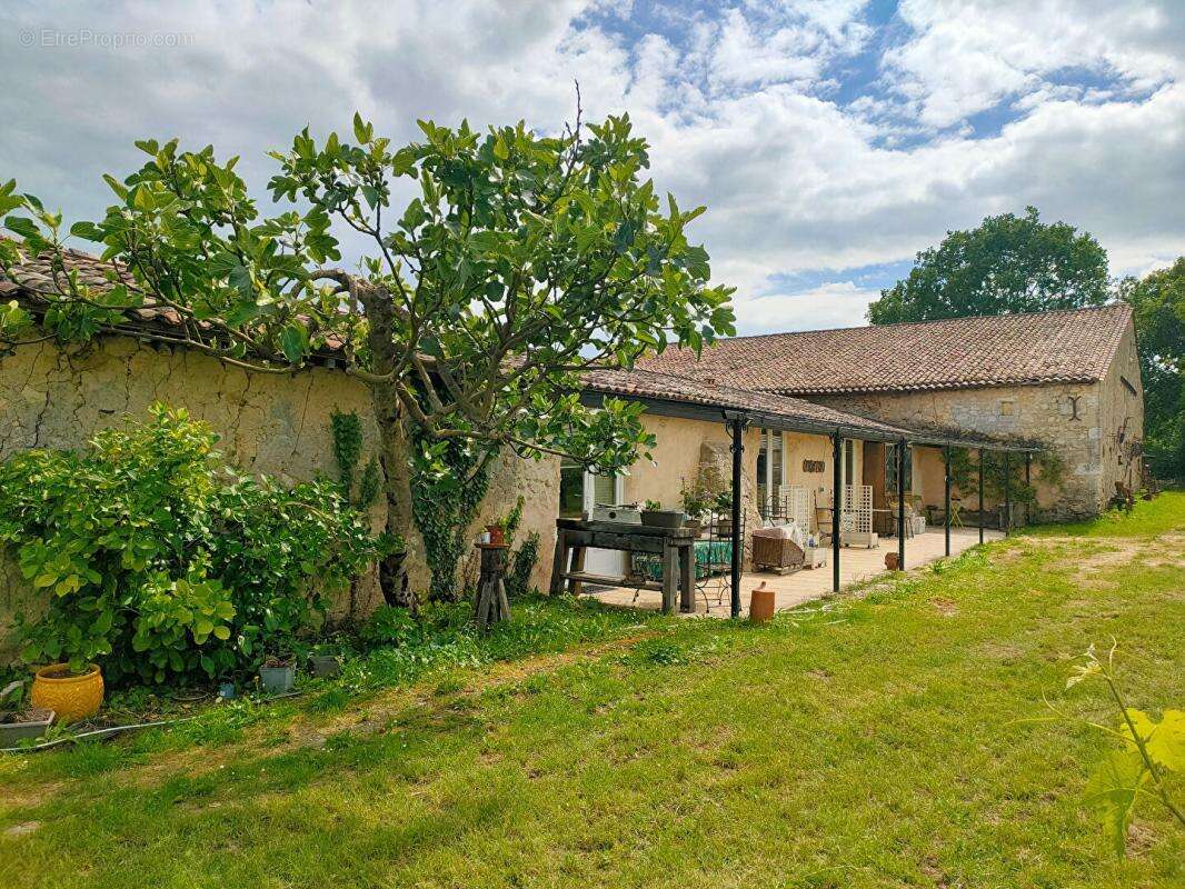 Maison de maitre  300 m² -12 pieces - dependances - photo 8