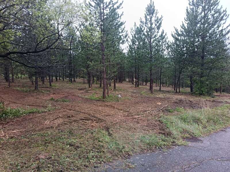Terrain 400 m² à Mollans-Sur-Ouveze  - photo 2