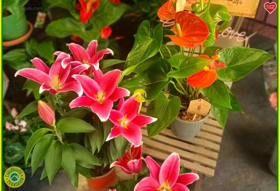 Commerce à NEUVY-SUR-BARANGEON