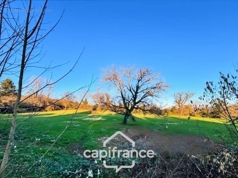 Terrain à vendre  POISEUX (58) - photo 2