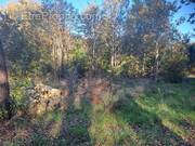 Terrain à SAINT-SAUVEUR