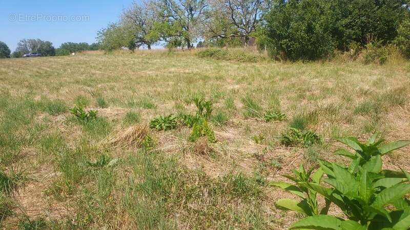 Terrain à vendre de 979,00 m² MASCLAT (46) - photo 2