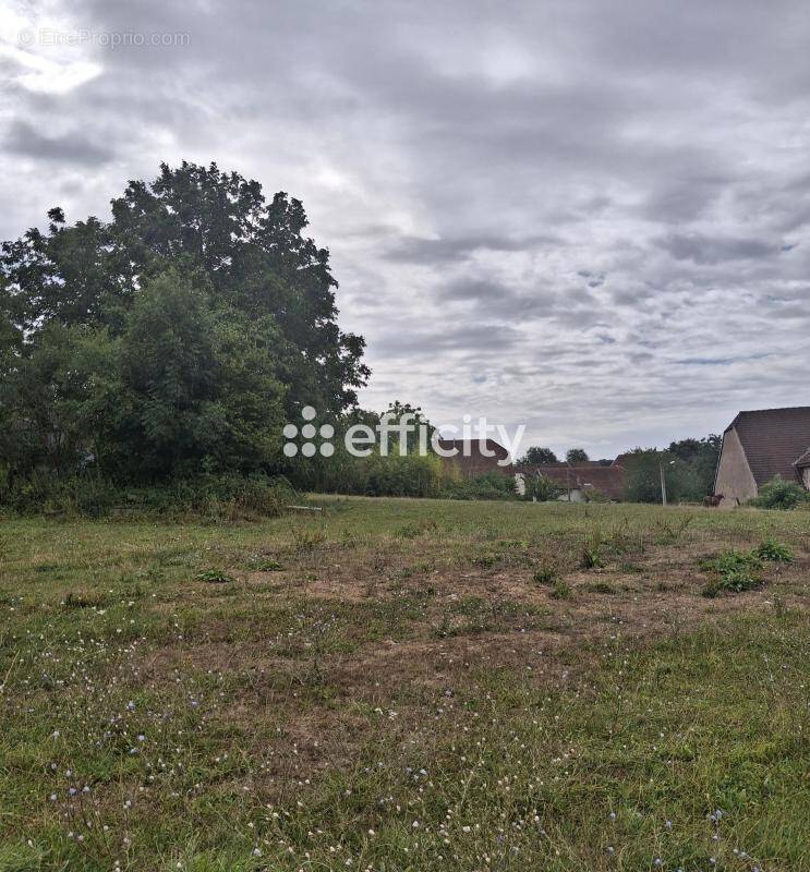 Terrain 1460 m² à Cognieres  - photo 2