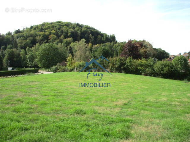 Terrain à BRUYERES