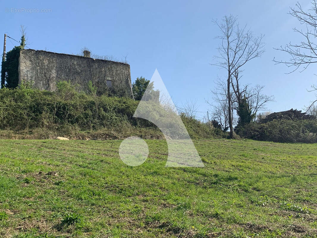 Ruine en pierre à rénover sur terrain 1,2 ha zone verte à Gensac - photo 2