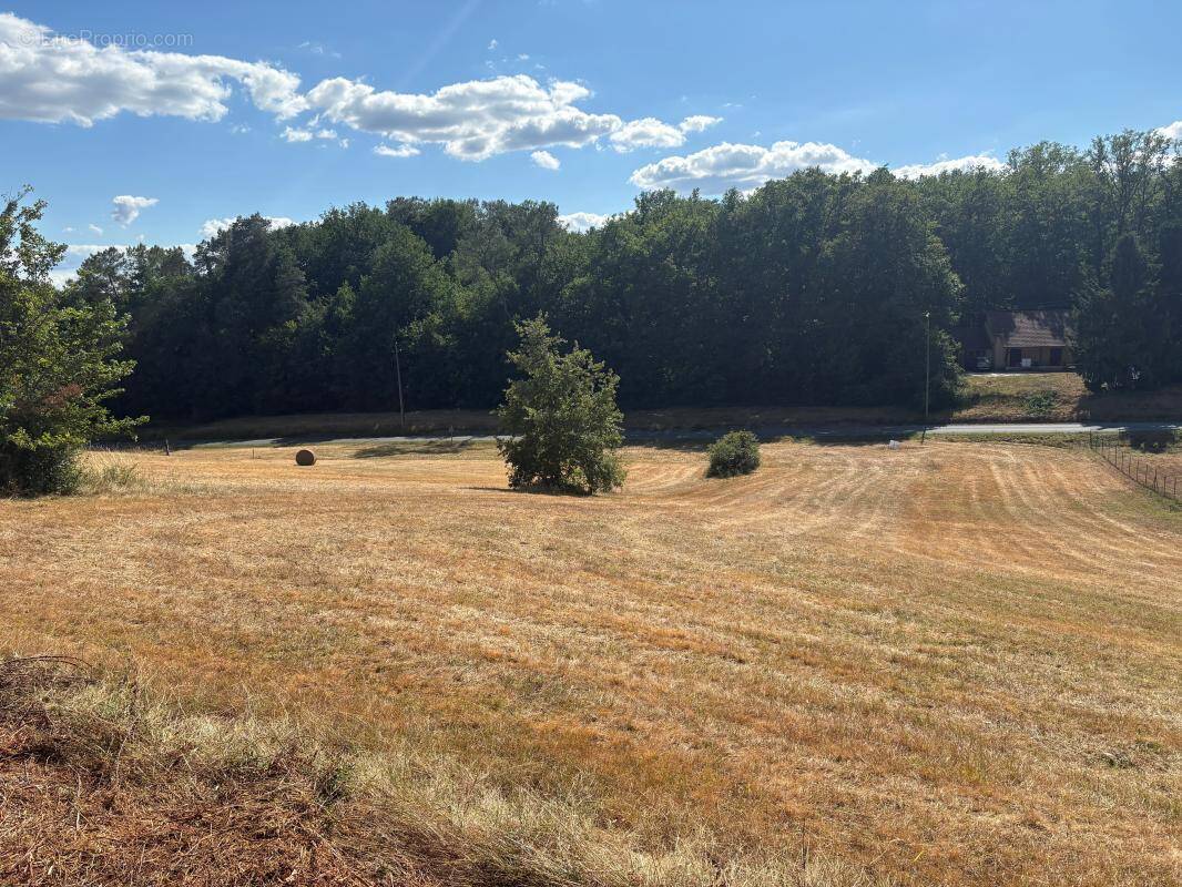 Terrain à SAINT-PIERRE-DE-CHIGNAC