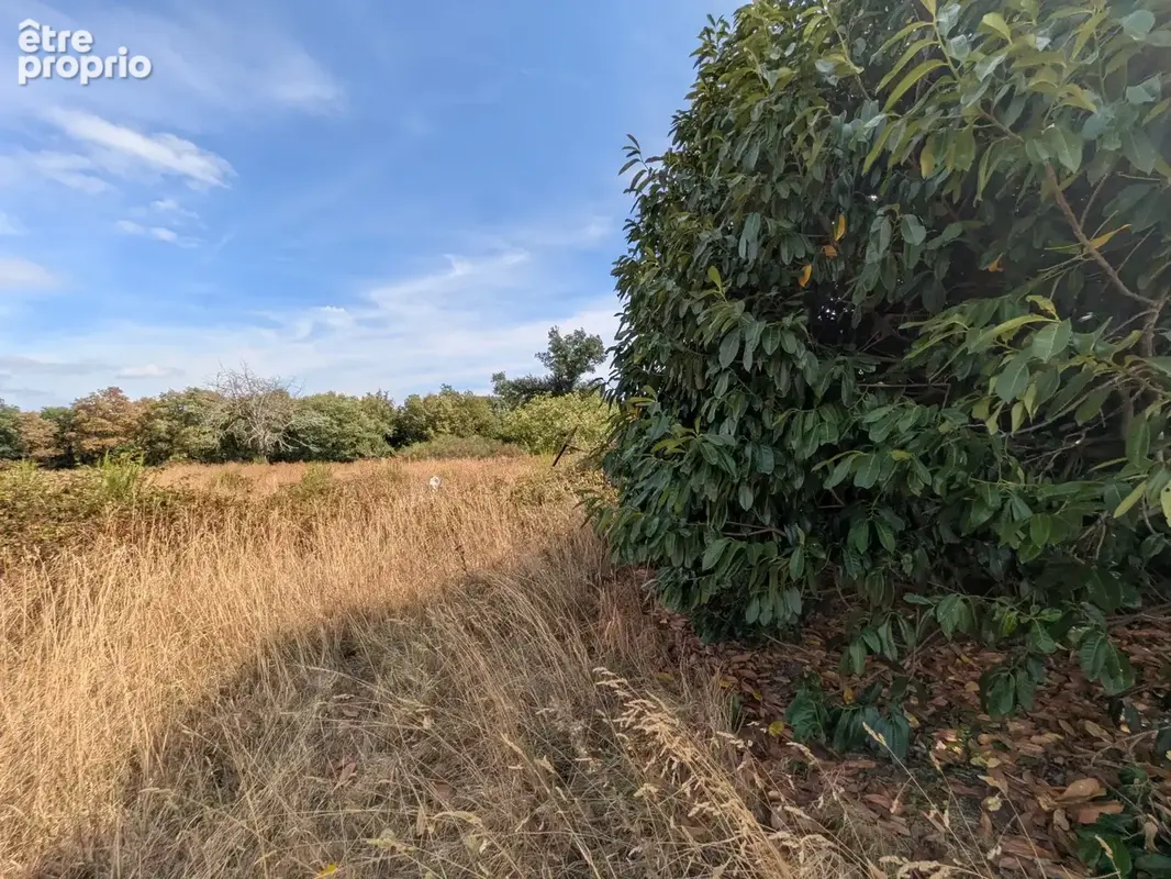Nostang propriété composée d'une maison en pierre à rénover avec trois dépendance un puits et 21 hectares environ - photo 19