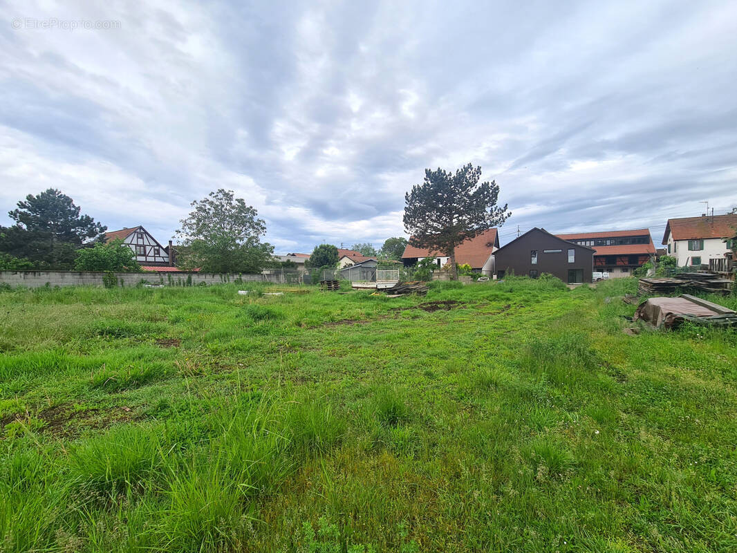 Terrain à OHNENHEIM