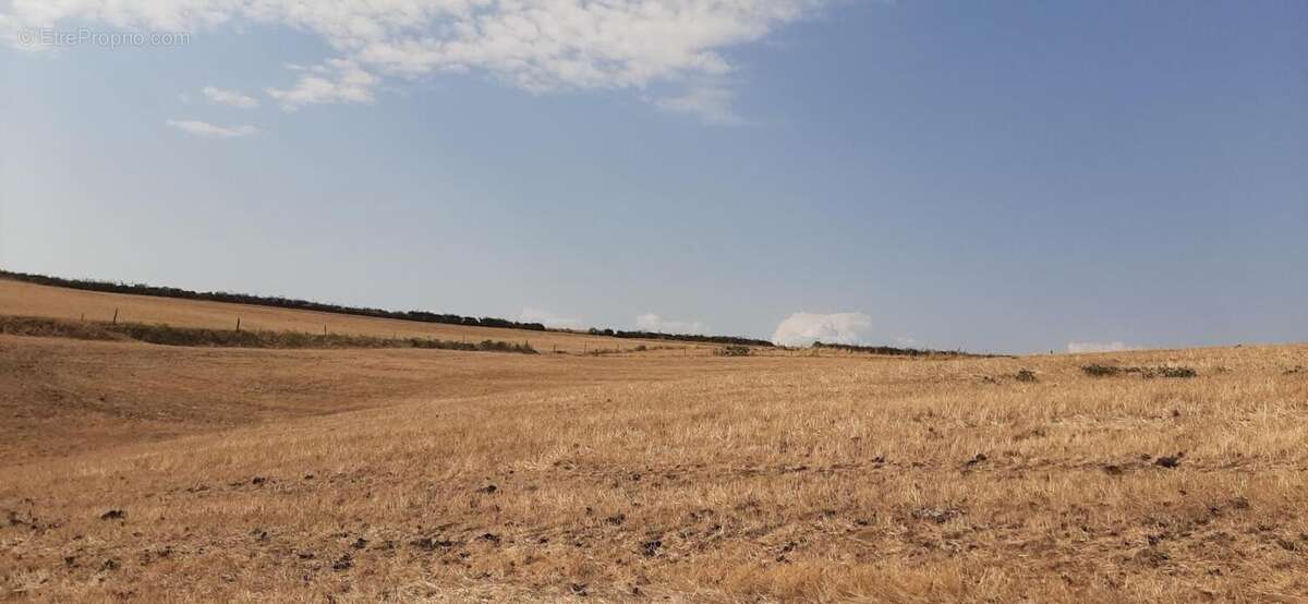Fermette a rénover avec ses dépendances, sur 2,7 ha de terrain dans cadre bucolique - photo 35