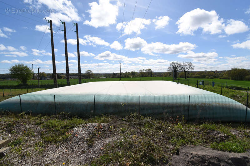 Commerce à LA FERTE-MACE