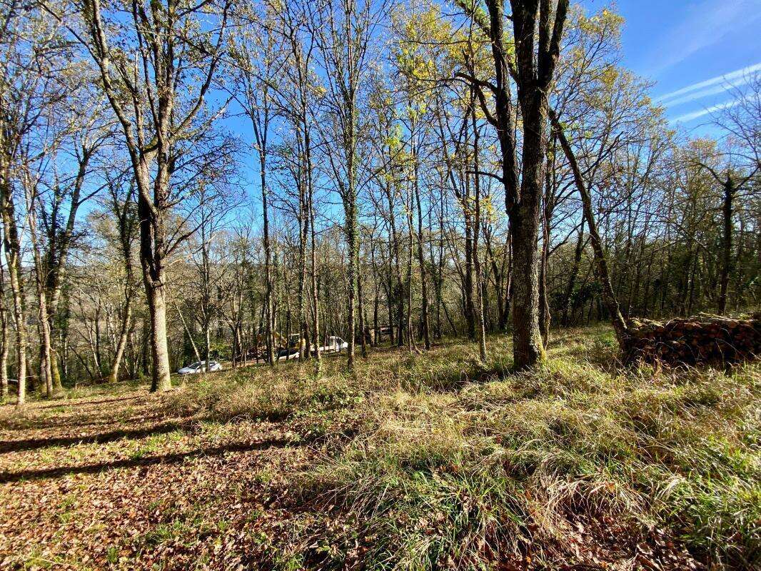 Maison à LE BUISSON-DE-CADOUIN