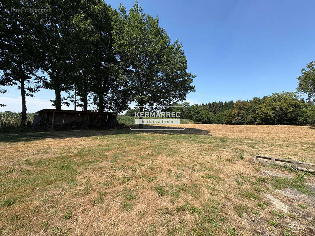Maison Pont Pean - Gîte - dépendances - terrain - Rennes -  longère - photo 18
