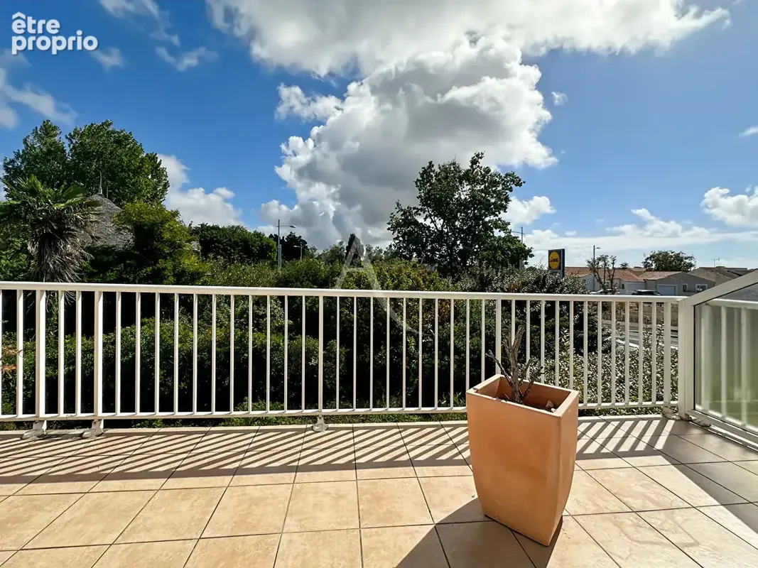 Appartement Type 2 + mezzanine & 40m² de terrasse - photo 4