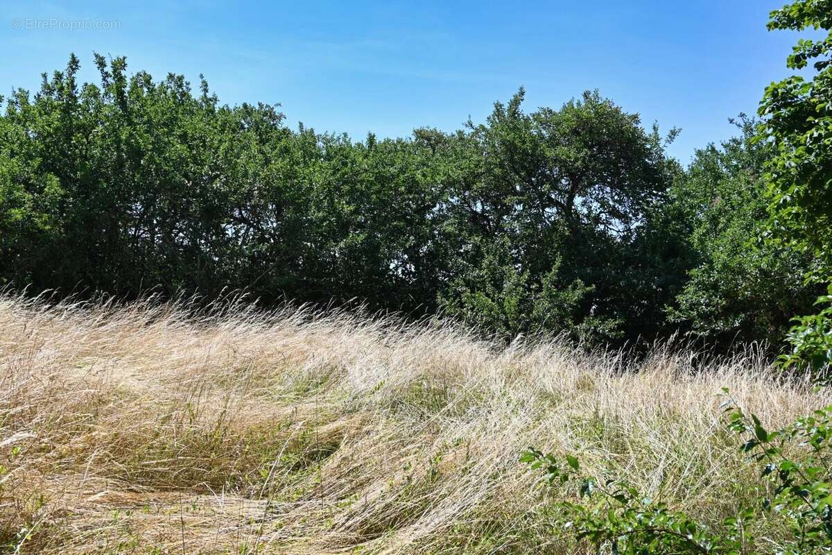 À vendre Aubigny : Projet de rénovation de rêve - photo 45