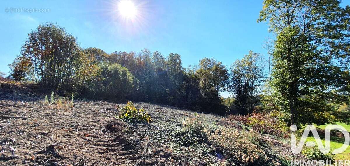 Terrain 2500 m² à Albussac  - photo 3