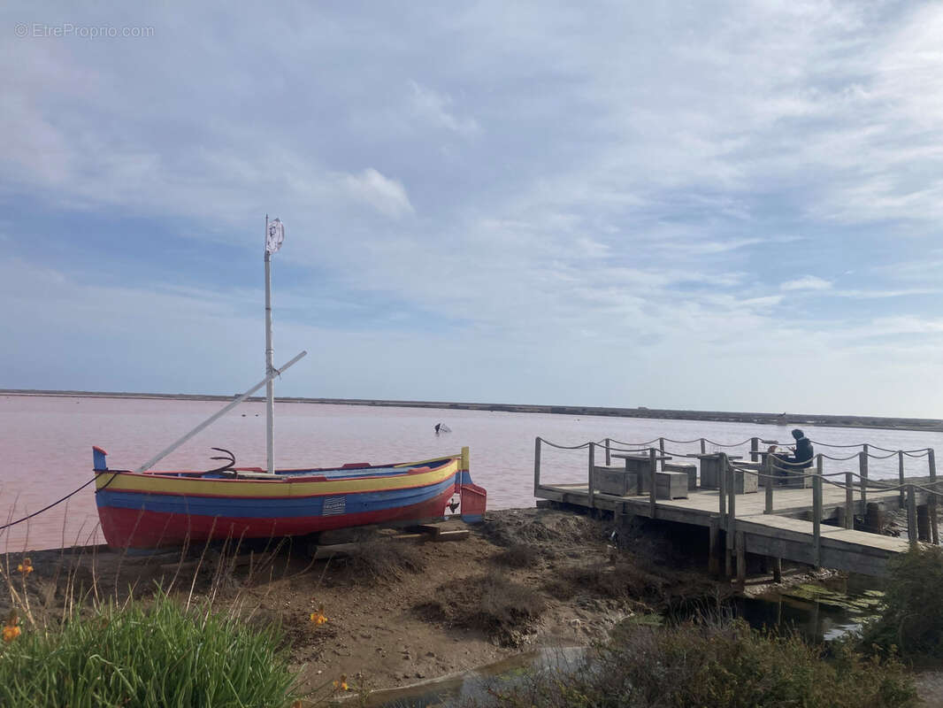 Gruissan, à 3kms des plages, maison de caractère rénovée avec 5 chambres, sur un parc de 2,5 hectares, avec pi - photo 44