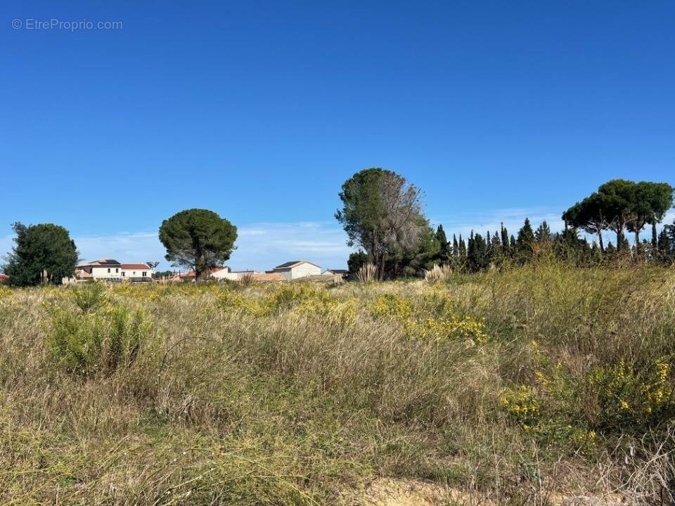 Terrain à LATOUR-BAS-ELNE