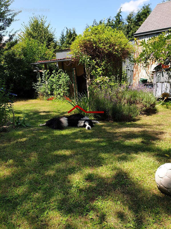 Maison à ROYERE-DE-VASSIVIERE