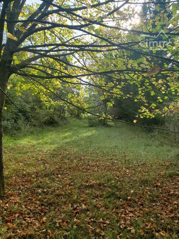 Terrain à CASTELRENG